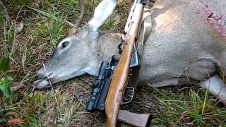 Whitetail deer hunting with an SKS  762x39 [upl. by Nosirb873]