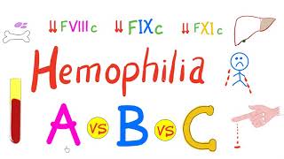 Hemophilia A vs Hemophilia B  Genetics Symptoms and Treatment [upl. by Innad]