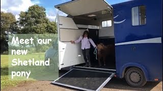 Meet our new Shetland pony  TV Episode 264 [upl. by Bordie]