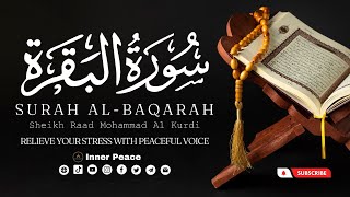 Surah AlBaqarah  Sheikh Raad Mohammad Al Kurdi  Inner Peace  Relaxed Recitation [upl. by Aseiram]