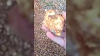 Huge Gold Nugget found with modified Minelab GPX4500 [upl. by Eylatan243]