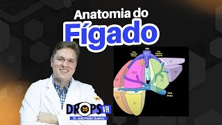 ANATOMIA DO FÃGADO  COMO RECONHECER NO USG I VOCÃŠ RADIOLOGISTA [upl. by Piwowar]