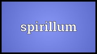 Spirillum Meaning [upl. by Ainorev]