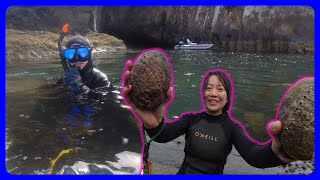 Asian girls FIRST TIME Abalone dive 🦪 Akaroa paua [upl. by Alleyn]