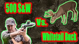 500 Smith and Wesson vs Whitetail Buck [upl. by Jelena]