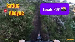 Rattus MTB📍Aboyne Pov [upl. by Parik]