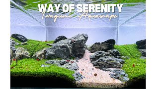 Nano Iwagumi Aquascape Tutorial Using only 1 PLANT [upl. by Asuncion]