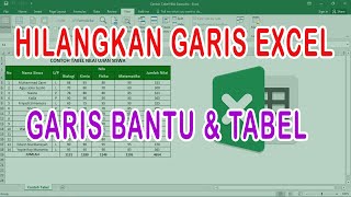 Cara Menghilangkan Garis di Excel  Tutorial Excel Hapus Garis Bantu amp Tabel [upl. by Mercie470]