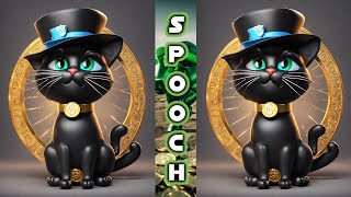 Spooch Token on Cash Tokens via Bitcoin Cash [upl. by Llemart]