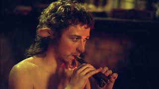 Narnia Soundtrack  Mr Tumnus Theme Flute [upl. by Miguel]