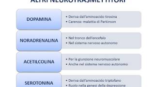 7 Neurotrasmettitori e recettori [upl. by Trebreh]