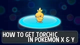 Pokémon X and Y  How To Get Torchic [upl. by Eilsehc724]