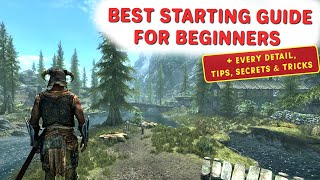 Best Starting Guide 2024  Skyrim Anniversary Edition  Every Detail Tips Secrets Tricks and MORE [upl. by Ciapas]