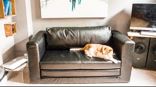 Ikea Askeby £165 sofa bed  Part 1 HONEST REVIEW [upl. by Eelame]