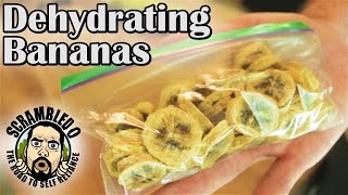 EXACTLY HOW TO DEHYDRATE BANANAS [upl. by Atirehc664]