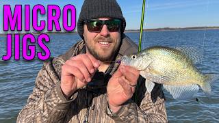 Sizing Down For BIG RESULTS  Winter Crappie Fishing [upl. by Ethelbert]