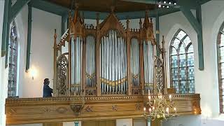 Orgel Hervormde kerk Meerkerk [upl. by Hyacinthia]