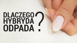 JAK PRAWIDĹOWO NAKĹADAÄ† HYBRYDE ABY NIE ODPADAĹA  DLACZEGO HYBRYDA ODPADA NIE TRZYMA SIÄ [upl. by Roee]