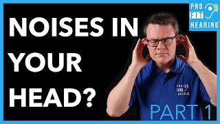 What Causes Noises in Your Head  What is Tinnitus Part 1 [upl. by Ainos869]