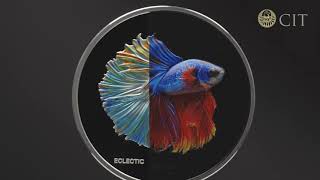 2021 Cook Islands 1 Ounce Eclectic Nature Fighting Fish Color Silver Proof Coin [upl. by Russi]