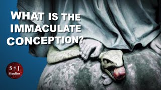 What is the Immaculate Conception blessedvirginmary immaculateconception [upl. by Franckot652]