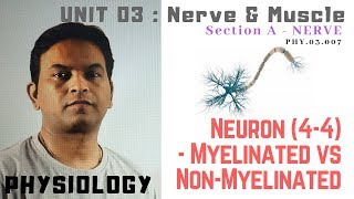 PHY03007Neuron 44 – Myelinated vs Unmyelinated  Dr Prashant Sharma [upl. by Abby]