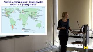 Lutgarde Raskin  Optimizing Biofiltration for Drinking Water Treatment [upl. by Rowe]