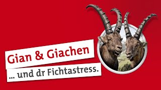 Gian und Giachen Baumgrenzen sind unerbärmlich [upl. by Rodmur949]