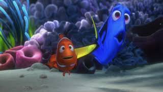 FINDING NEMO All Movie Clips 2003 [upl. by Eanad]