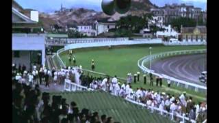 Happy Valley Racecourse 1950s  1950年代的快活谷 [upl. by Abner454]