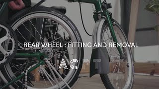 Rear wheel  fitting and removal [upl. by Ahsinrats]