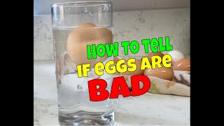 How to tell if a egg is bad Egg water test [upl. by Namruht]