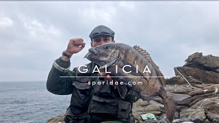 Costa da Morte Lubinas y Sargos  Galicia Expedition [upl. by Dukie]