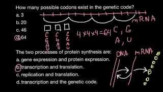 How many possible codons exist in the genetic code [upl. by Mic558]