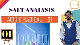 Salt Analysis1  Acidic Radicals1  Group1 । Class 12  Supertrick to remember Acidic Radicals [upl. by Aeel]