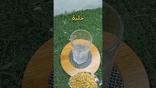 تقديم الحلبة للطيور والحمام Providing fenugreek to birds and pigeo birds kabouterالطيورطيرطيور [upl. by Cully321]