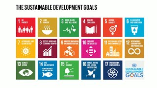 Do you know all 17 SDGs [upl. by Ahsiya517]