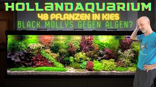 Wir sind sprachlos Unfassbares Hollandaquarium mit 48 verschiedenen Aquarienpflanzen in Kiesboden [upl. by Godfry]