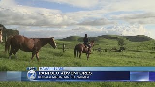 Hawaii Island Week Paniolo Adventures [upl. by Sire]