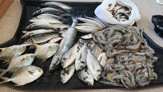 We bought lots of fresh sea fish in billingsgate Market London [upl. by Enilra]