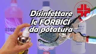 DISINFETTARE FORBICI DA POTATURA [upl. by Aya]