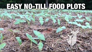 Easy Notill Food Plots  Whitetail Weekend Seminar [upl. by Brittne]