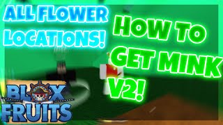 How to get MINK V2 Race in Blox Fruits ALL FLOWERS Location ROBLOX [upl. by Dev]