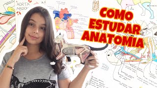 COMO ESTUDAR ANATOMIA  Veterinanda [upl. by Yule835]