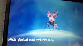 Noibat finalmente evoluciona a noivern [upl. by Pownall]