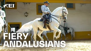 Something for the bucket list The 👑 Andalusian School of Equestrian Art RIDE presented by Longines [upl. by Yunfei]