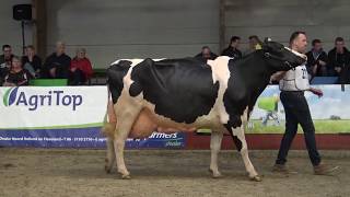 30 ste Wintershow Flevoland 2020 [upl. by Kcirreg]