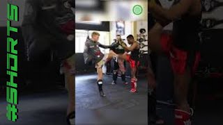 Muay Thai Kick Drills for Sparring [upl. by Ylrad733]