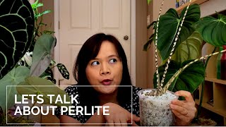 How to plant in perlite  Perlite and Semi Hydro [upl. by Vincenz]