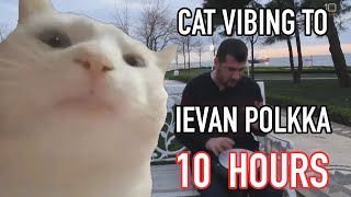 Cat Vibing To Ievan Polkka 10 Hours [upl. by Nalod380]